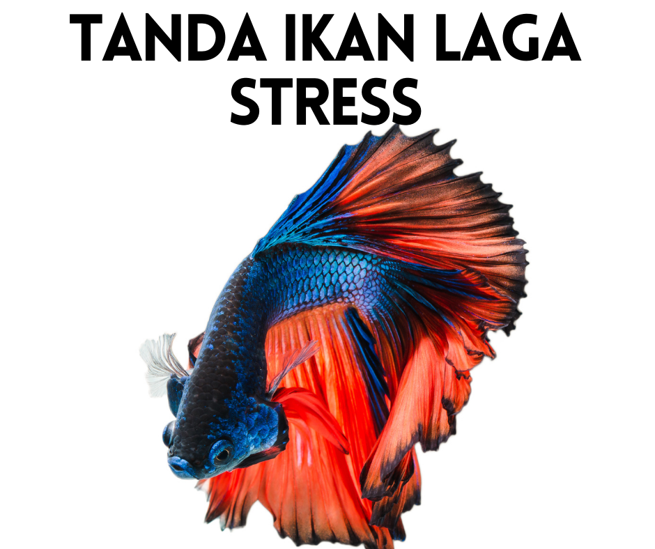 Tanda-tanda stress